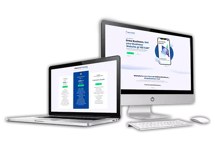 Business Developers in Saudi Arabia 